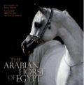 Bild Artikel The Arabian Horse of Egypt, Dr. Nasr Marei