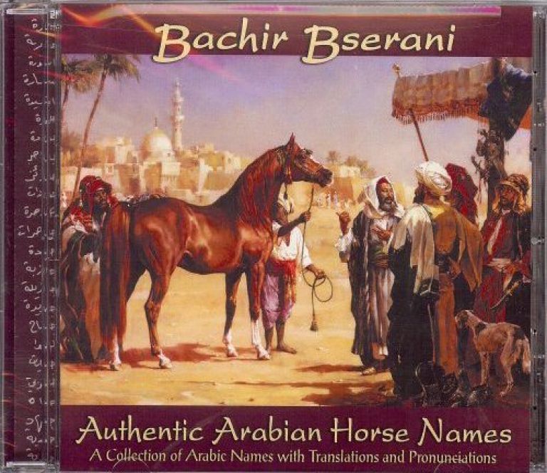 Bild Artikel Authentic Arabian Horse Names Audiobook, Bserani, B.