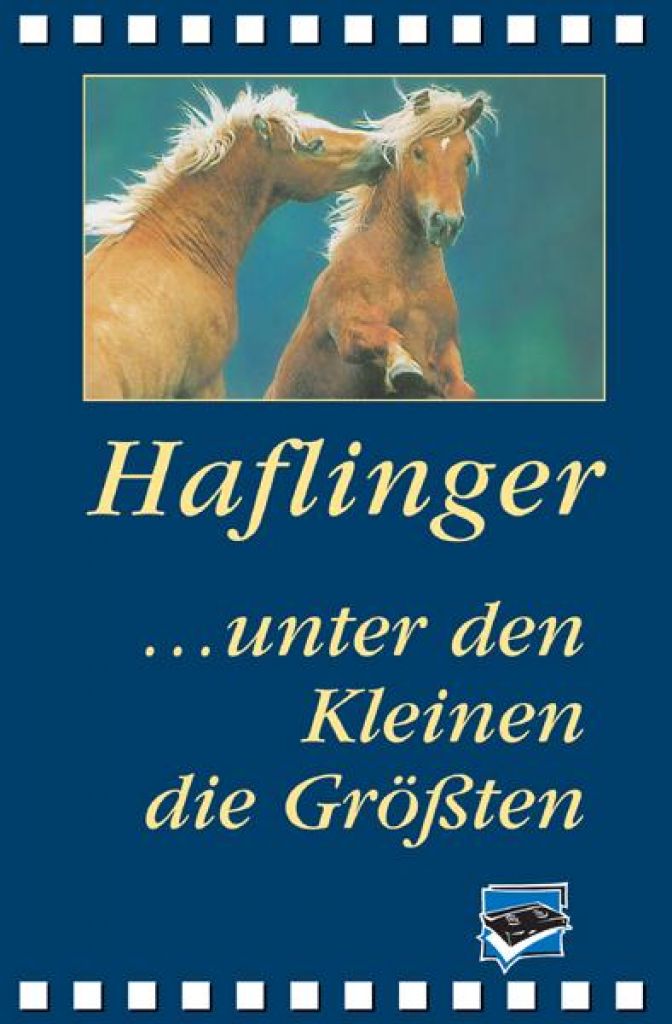 Bild Artikel Haflinger - unter den Kleinen die Größten