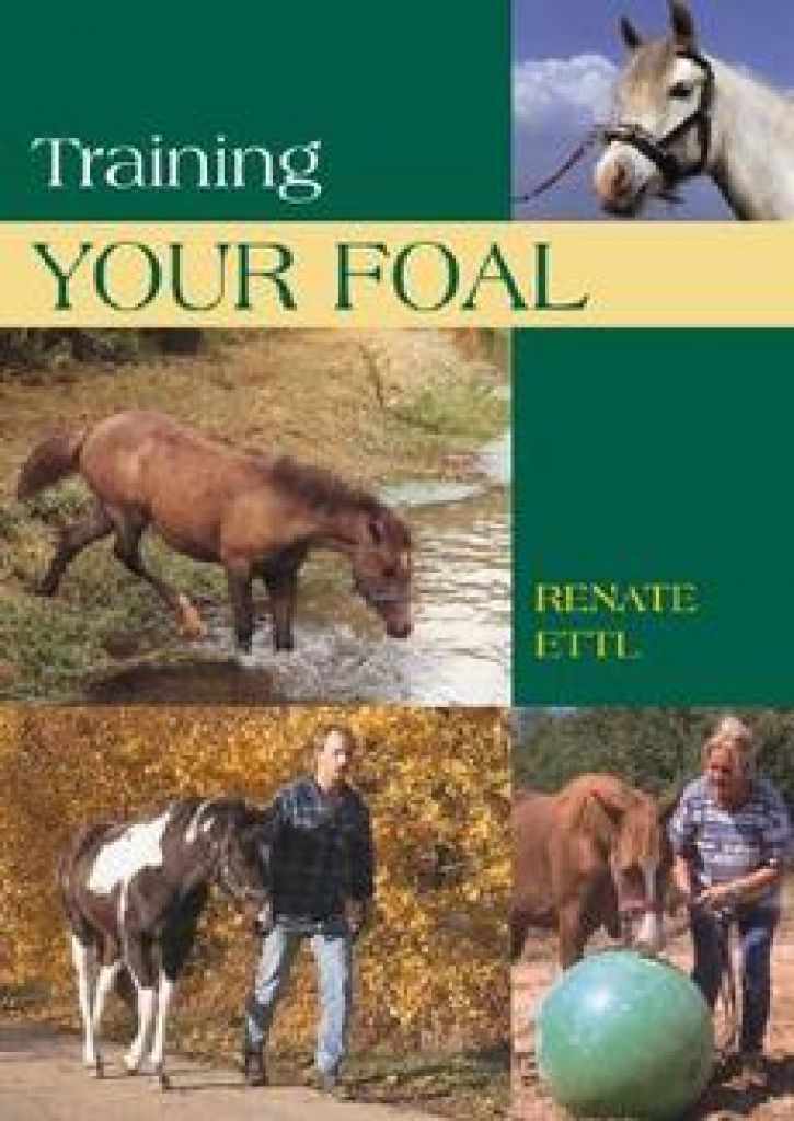 Bild Artikel Training Your Foal, Ettl, R.