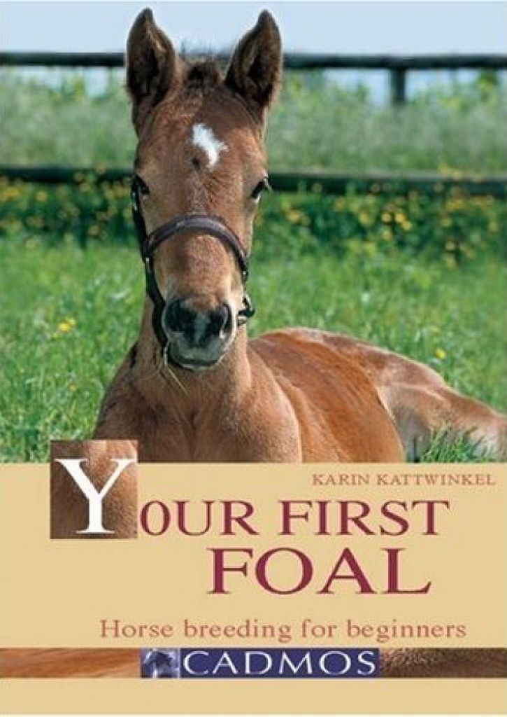 Bild Artikel Your First Foal, Kattwinkel, K.