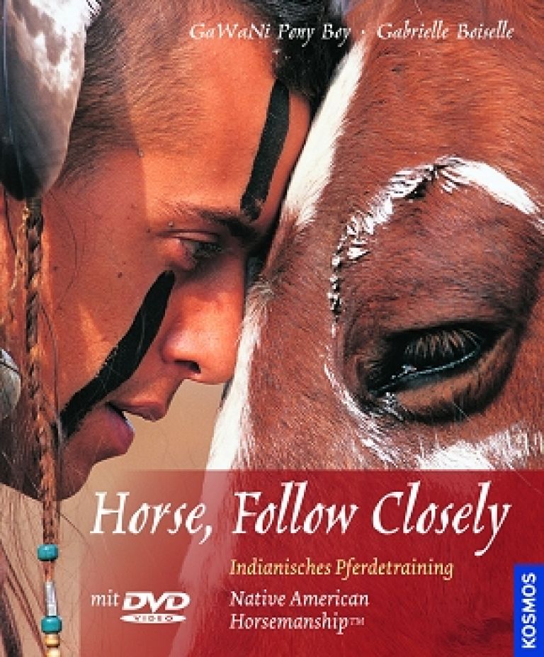 Bild Artikel Horse, Follow Closely, GaWaNi Pony Boy